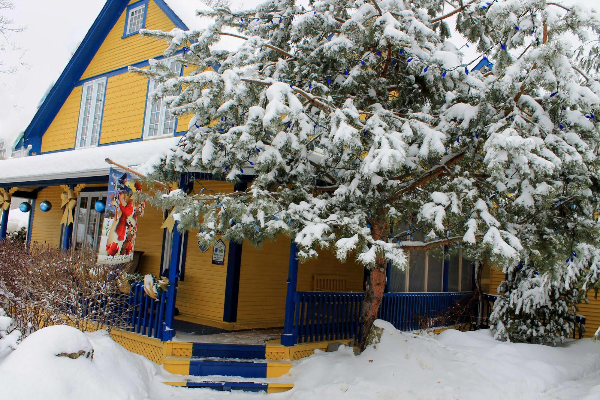 Bed and Breakfast Au Saut Du Lit Magog Exterior foto